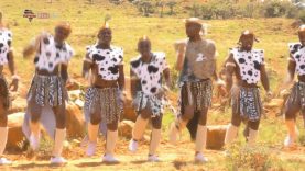 Amavevane Performing Arts