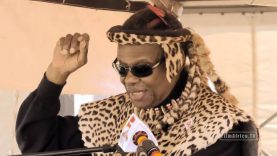 King Zwelithini ?  – Mangosuthu Buthelezi