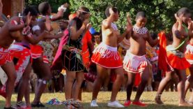 Reed Dance Virgins –  Amatshitshi pt1