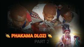 Umsebenzi wamabala part 2